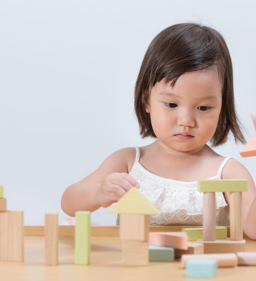 Plantoys blokkenset sfeer Plantoys blokkenset sfeer