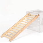 Ladder-voor-bij-klimkubus-katehaa