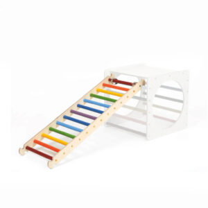 Ladder regenboog