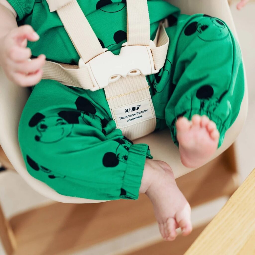 Bevestiging babyzitje KAOS