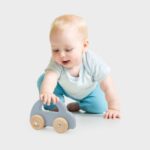 Speelauto van Hout PolarB blauw