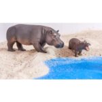 Betzold EduCasa - Afrikaanse dieren - 18-delig - Afrikaanse olifant - Afrikaanse olifantenkalf