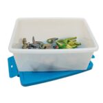 Betzold EduCasa - deluxe dinosauriers - 8 delig - hele set in trommel met blauwe deksel eronder