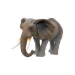 Betzold EduCasa - dierenset - 26-delig olifant vooraanzicht