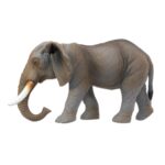 Betzold EduCasa - dierenset - 26-delig - olifant zijaanzicht