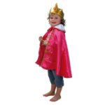 Kindercostuumset 1 - 13-delig - Koningin