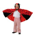 Kindercostuumset 1 - 13-delig - Lieveheerstbeestje