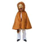 Kindercostuumset 1 - 13-delig - leeuw