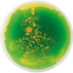 Sensorische vloertegel Eduplay 50x50 rond groen geel